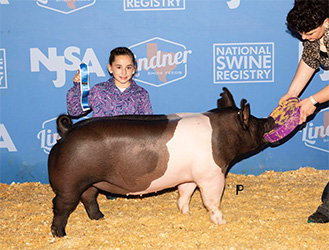 G & S Swine Winners