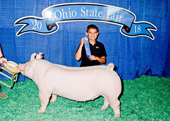 G & S Swine Winners