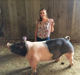 G & S Swine Winners