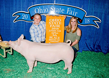 G & S Swine Winners