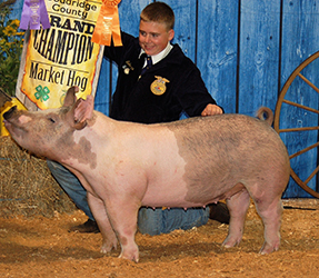 G & S Swine Winners