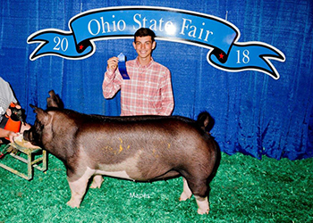 G & S Swine Winners