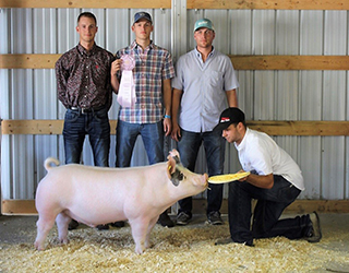 G & S Swine Winners