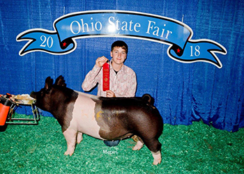 G & S Swine Winners