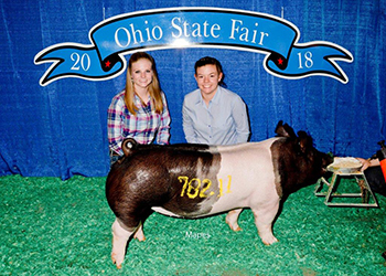 G & S Swine Winners