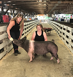 G & S Swine Winners