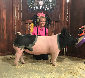 G & S Swine Winners