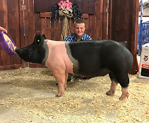 G & S Swine Winners