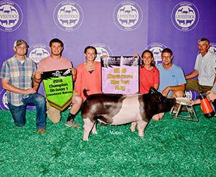 G & S Swine Winners