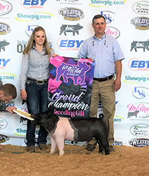G & S Swine Winners