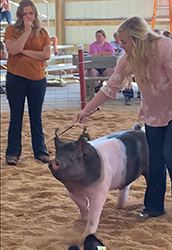 G & S Swine Winners