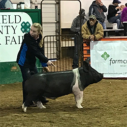 G & S Swine Winners