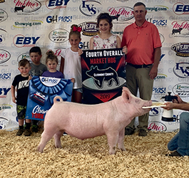 G & S Swine Winners