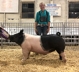 G & S Swine Winners