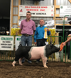 G & S Swine Winners