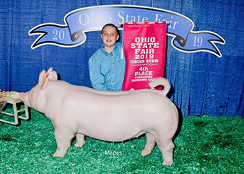 G & S Swine Winners