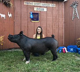 G & S Swine Winners