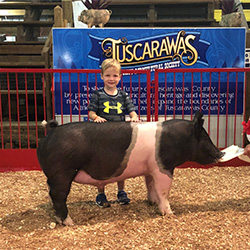 G & S Swine Winners