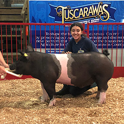 G & S Swine Winners