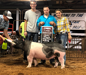 G & S Swine Winners