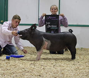 G & S Swine Winners
