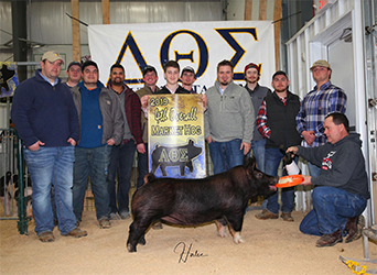 G & S Swine Winners