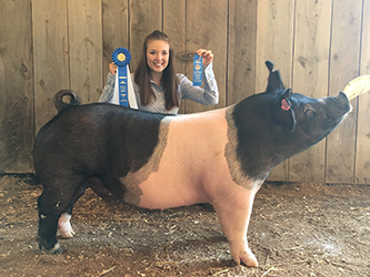 G & S Swine Winners