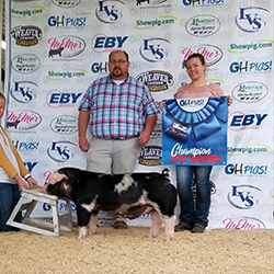 G & S Swine Winners