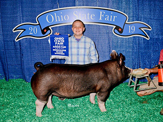 G & S Swine Winners