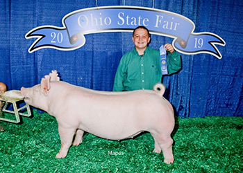 G & S Swine Winners