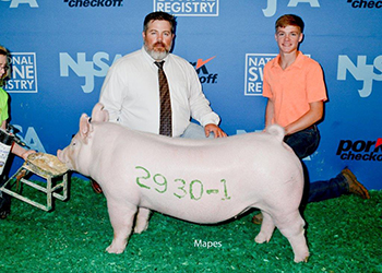 G & S Swine Winners