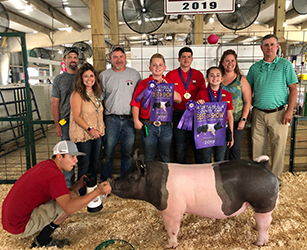 G & S Swine Winners