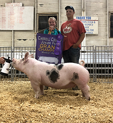 G & S Swine Winners