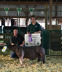 G & S Swine Winners