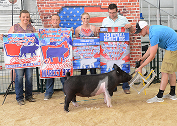 G& S Swine Winners