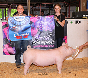 G & S Swine Winners