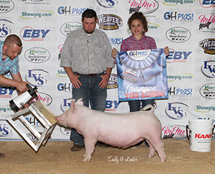 G & S Swine Winners