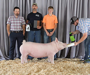 G & S Swine Winners