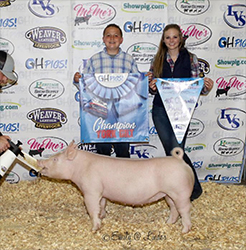 G & S Swine Winners