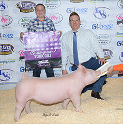 G & S Swine Winners