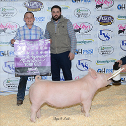 G & S Swine Winners