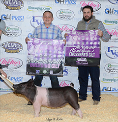 G & S Swine Winners