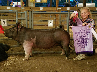 G & S Swine Winners