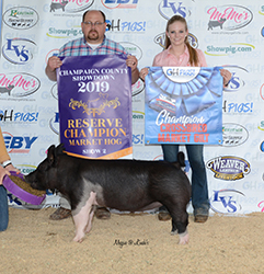 G & S Swine Winners