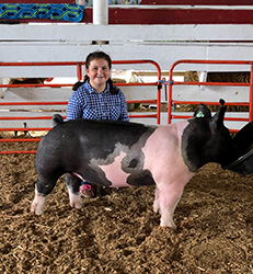 G & S Swine Winners
