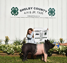 G & S Swine Winners