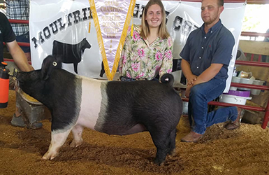G & S Swine Winners