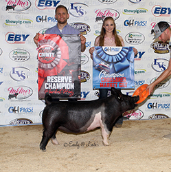 G & S Swine Winners