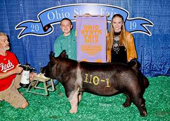G & S Swine Winners