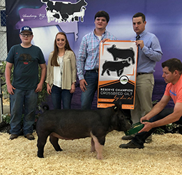 G & S Swine Winners